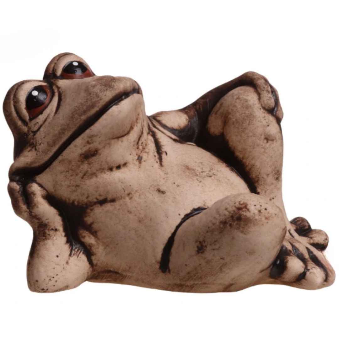 Detailní fotografie odpočívající žáby